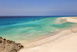 Socotra_2025 (20/76)